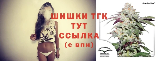 тгк Алексин