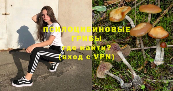 каннабис Алзамай