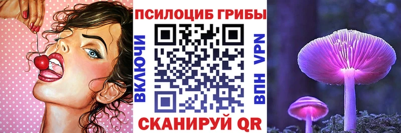 Псилоцибиновые грибы Cubensis  omg сайт  Опочка 